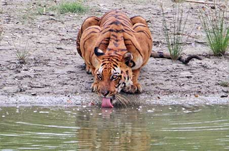 Wildlife Photography Trip