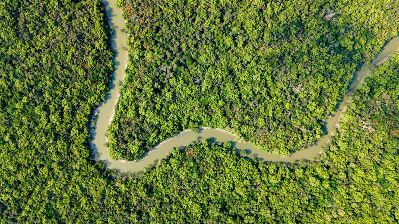 Slider Sundarbans Trip - 3