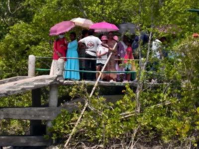 Sundarban Strip Tourist
