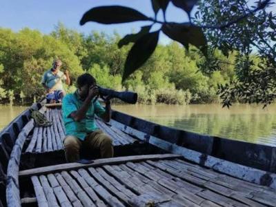 Sundarban Strip Tourist