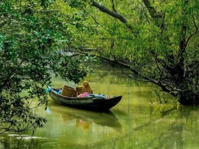 Sundarban Strip Tourist